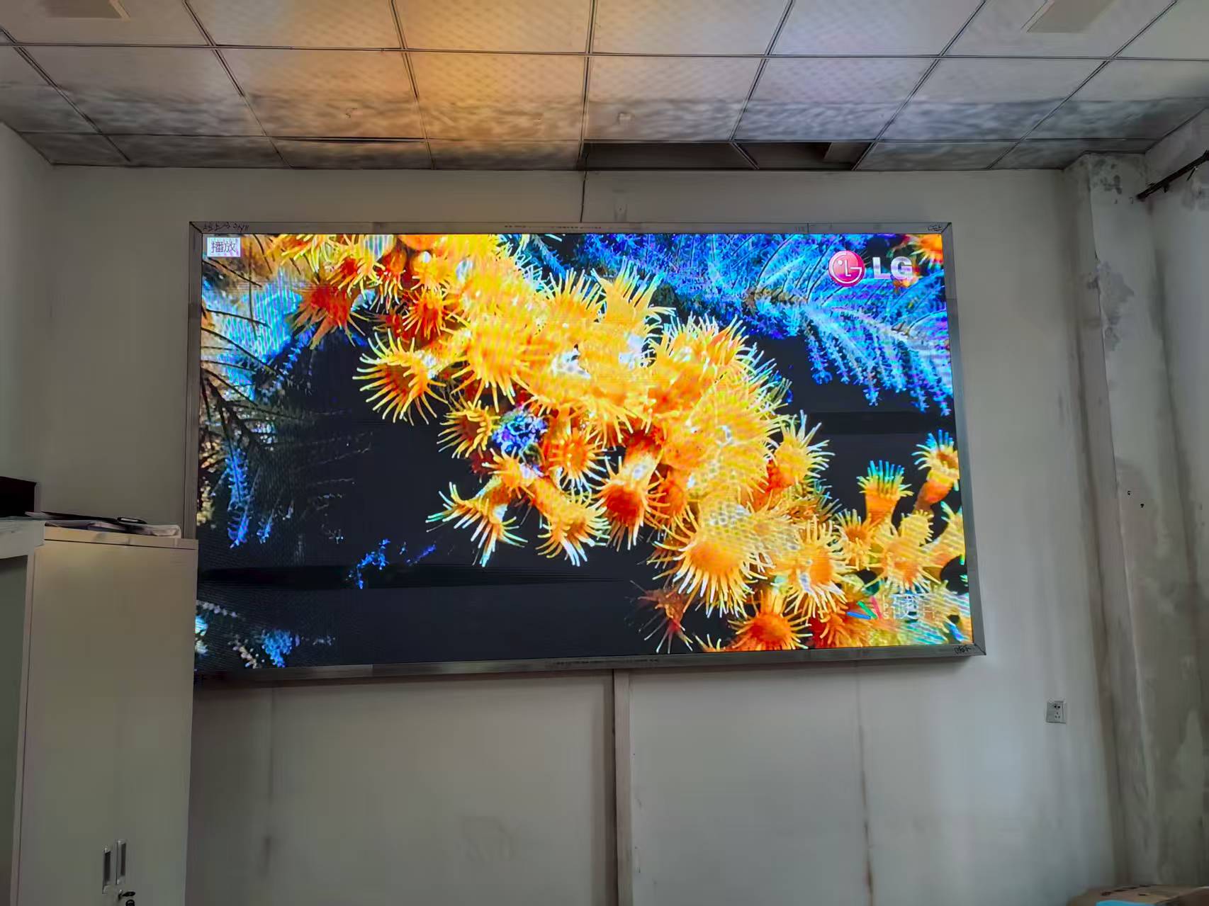 江安县红桥镇人民政府三楼-2.0